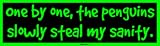 One by one, the penguins slowly steal my sanity. Bumper Sticker