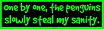 One by one, the penguins slowly steal my sanity. Bumper Sticker