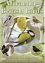 Attracting British Birds [DVD] [2006]