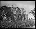 Photographic Prints of Cheshunt Great House, Cheshunt, Hertfordshire from Mary Evans