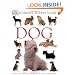 Ultimate Sticker Books: Dog
