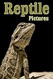 Reptile Pictures