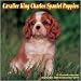 Cavalier King Charles Spaniel Puppies 2010 Wall Calendar