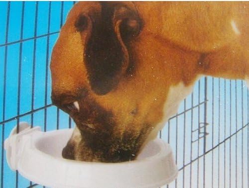 Lesypet Can Hang Dog Cat Feeding Bowl- Dual Purpose Water/Food Easy to Install-White