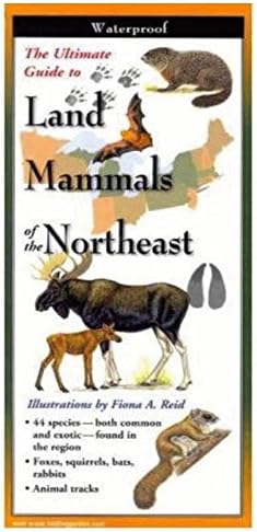 Steven Lewers Land Mammals of the Northeast by Fiona A. Reid - MNE-157