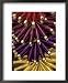 Colorful Spools of Thread Hang in the Market, Fes, Morocco Framed Art Poster Print by John & Lisa Merrill, 18x22