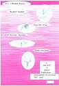 4 in 1 Beaded Jewelry