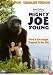 Mighty Joe Young [1999]