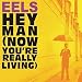 Hey Man (Now You're Really Living)