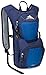 High Sierra Quickshot Hydration Pack, True Navy/Royal/True Navy, 2L / 17 x 11 x 5.25-Inch