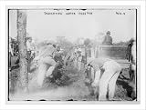 Newswire Photo (L): Diggers at dedication of motor parkway