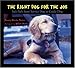 The Right Dog for the Job: Ira's Path from Service Dog to Guide Dog