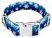 Country Brook Petz | 1 1/2 Inch Premium Winter Wonderland Dog Collar - Medium