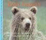 Nbs Baby Grizzly Bear (Nature Babies Series)