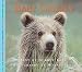Baby Grizzly Bear (Nature Babies)