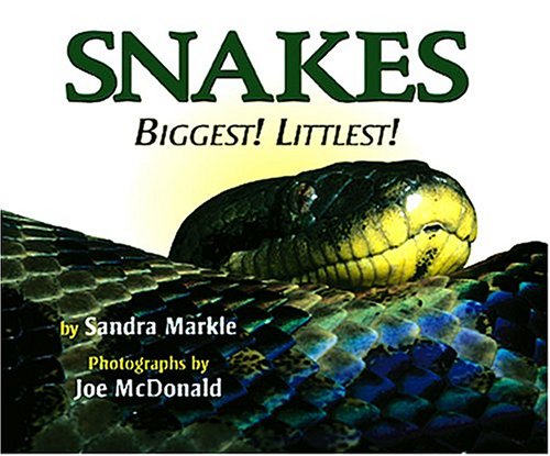 Snakes: Biggest! Littlest!
