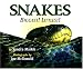 Snakes: Biggest! Littlest!
