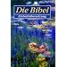 Liebe lebt immer