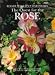 Books : The Quest for the Rose: The Most Highly Illustrated Historical Guide to Roses
