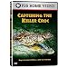 Search : Capturing the Killer Croc