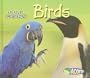 Birds (Creature Comparisons)