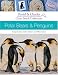Book Cross Stitch Collection - Polar Bears & Penguins (David & Charles Cross Stitch Collection)