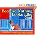 Because Nothing Looks Like God