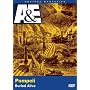 Ancient Mysteries - Pompeii: Buried Alive