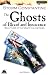 The Ghosts of Blood and Innocence: Bk. 3: The Third Book of the Wraeththu Histories: UK Edition Bk. 3