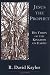 Jesus the Prophet: His Vision of the Kingdom on Earth
