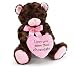 I Love you More Than Chocolate Valentines Day Heart Teddy Bear