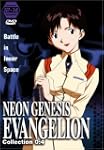 Neon Genesis Evangelion: V.4 Collecti...