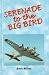 Search : Serenade to the Big Bird