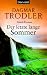 Der letzte lange Sommer: Island-Roman