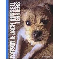 Parson and Jack Russell Terriers