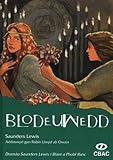 Blodeuwedd