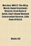 Marshes: Will-O'-The-Wisp, Marsh, Banni Grasslands Reserve, Great Rann of Kutch, Chari-Dhand Wetland Conservation Reserve, Litt-