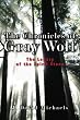 The Chronicles of Gray Wolf: The Legacy of the Spirit Stone