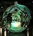 BANBERRY DESIGNS Clear Glass Globe Christmas Ornament - Nativity Scene - LED Lighted Color Changing - The Holy Family is Beautifully Displayed in This Glass Ball Ornament - Comes Gift Boxed
