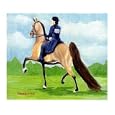 Ladies Pleasure (American Saddlebred) Animals Giclee Poster Print by Rhonda Watson, 10x8