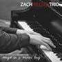 Songs In a Minor Key