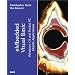 Embedded Visual Basic (White Book)