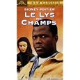 Le Lys Des Champs