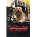 Good Old Boy: A Delta Boyhood