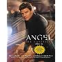 The Angel Casefiles