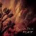 Concrete Blonde, 101