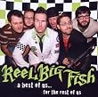 A Best of Us... for the Rest of Us by Reel Big Fish (2011-01-18)【並行輸入品】