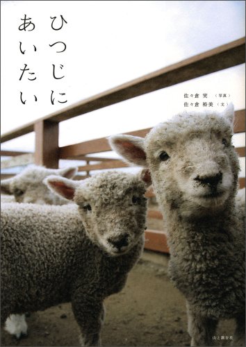 ひつじにあいたい