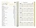 bloom daily planners 2016-17 Academic Year Day Planner (+) Passion/Goal Organizer (+) Fashion Agenda (+) Weekly Diary (+) Monthly Datebook Calendar (+) Aug 2016 - July 2017 (+) 6
