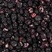 Harmony House Foods Freeze-Dried Blueberries, whole (6 oz, Quart Size Jar)